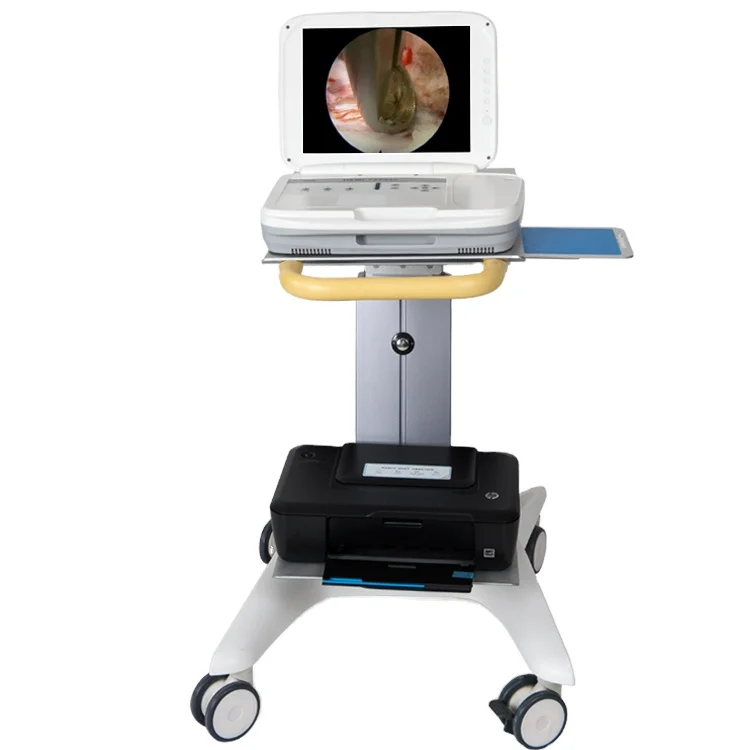 Medical Lab Images - Sistema Endoscopico Portatile Integrato Full HD