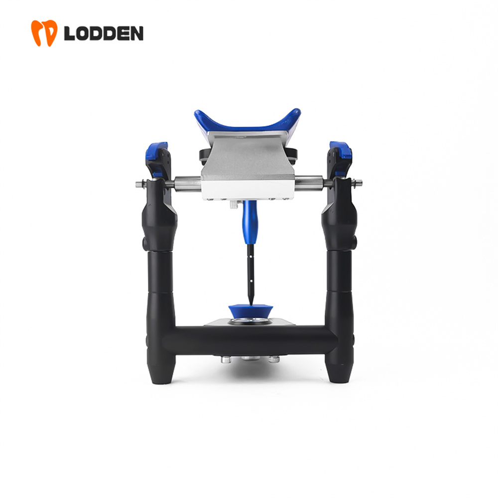 Medical Lab Values - Articolatore LODDEN BN Value, Unità Base