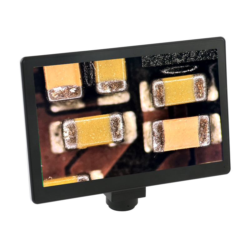 Monitor digitale LCD da 9 poll - Medical Lab Images recensione e prezzo