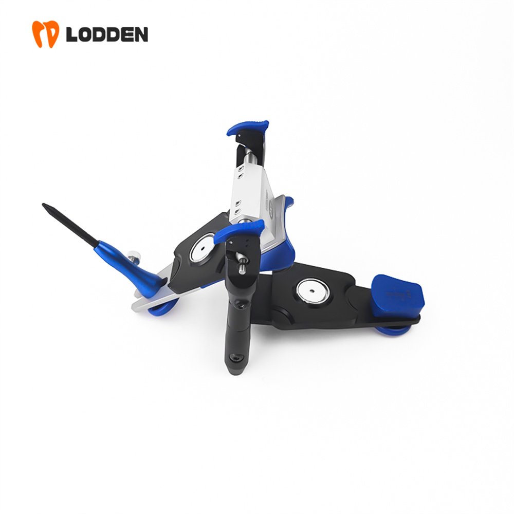 Articolatore LODDEN BN Value,  - Medical Lab Values recensione e prezzo