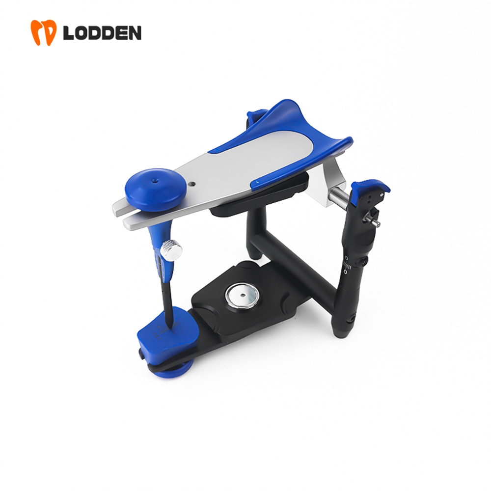 Articolatore LODDEN BN Value,  - Medical Lab Values recensione e prezzo